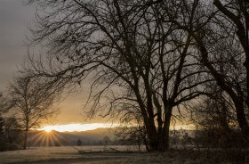 Phoca Thumb M Sonnenaufgang Elzwiesen 0566 2018